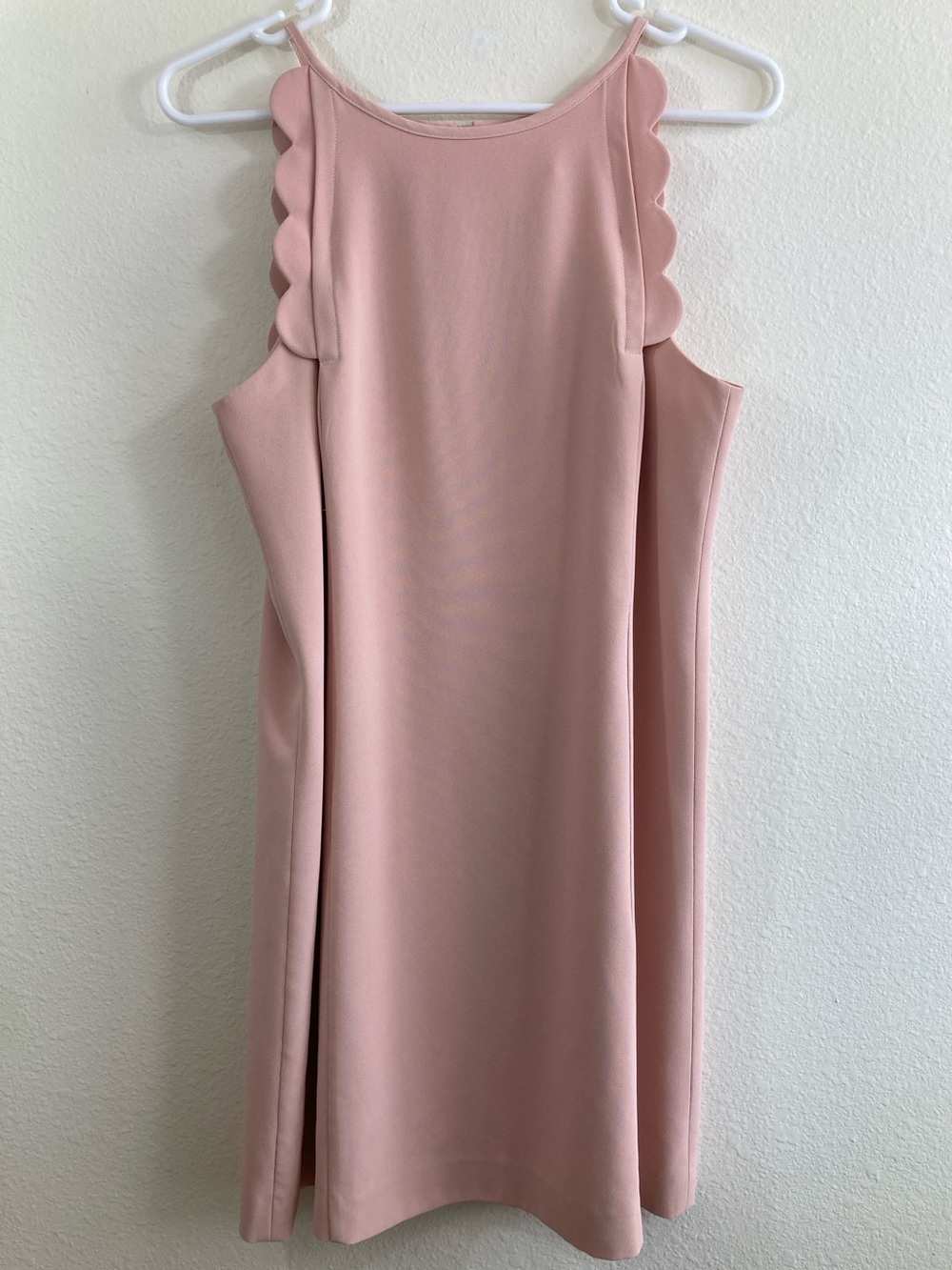 Ann Taylor Petite Blush Pink Scallop Trim Dress Size 10P Sleeveless